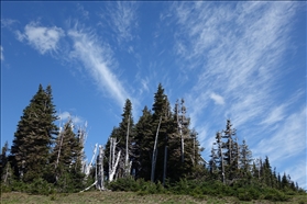 Olympic NP